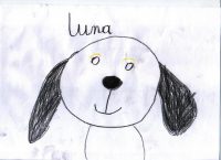 luna_r