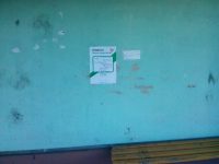 IMG_20100102_041259