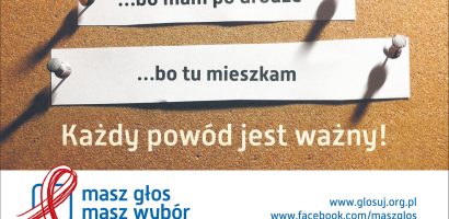 Internetowa akcja profrekwencyjna : Idę na wybory, bo..