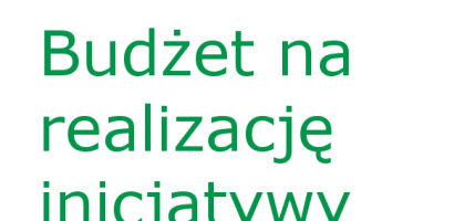 Budżet na realizację inicjatywy lokalnej