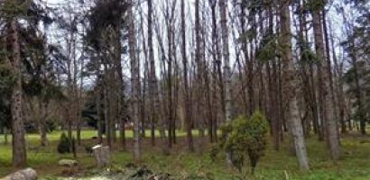 Nagrania ze szkolenia online „Obywatel i środowisko”