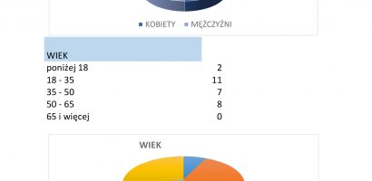 Podsumowanie Diagnozy Społecznej w Obierwi i Aleksandrowie