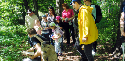 Piknik w Dolinie Gęśnika