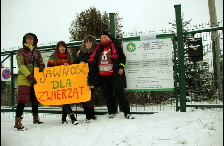 O psie, który dostał lecznicę