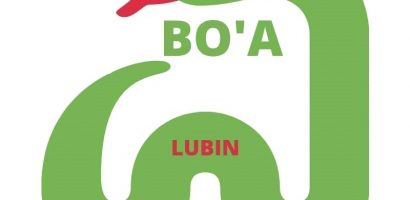 Budżet Obywatelski w Lubinie