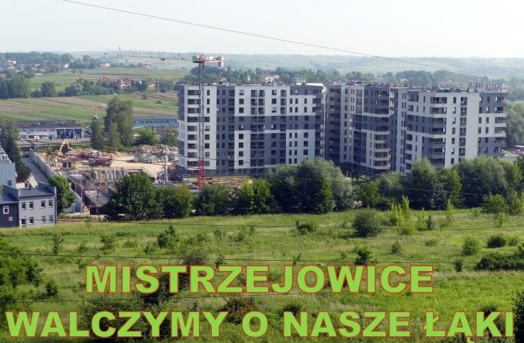 Stop zabudowie łąki w Krakowie! Wyślij uwagi