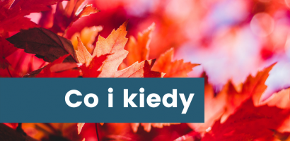Listopad w Masz Głos