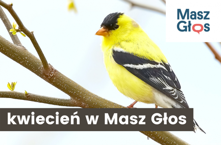 Harmonogram miesiąca
