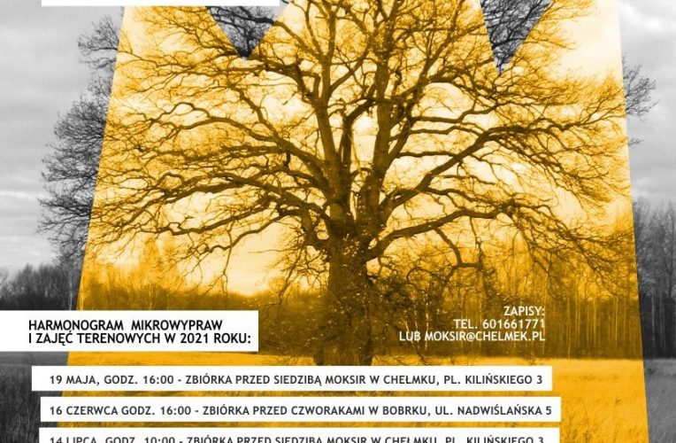 plakat informujący o akcji