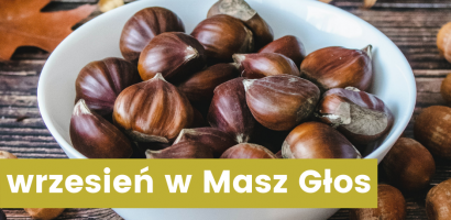 Harmonogram miesiąca