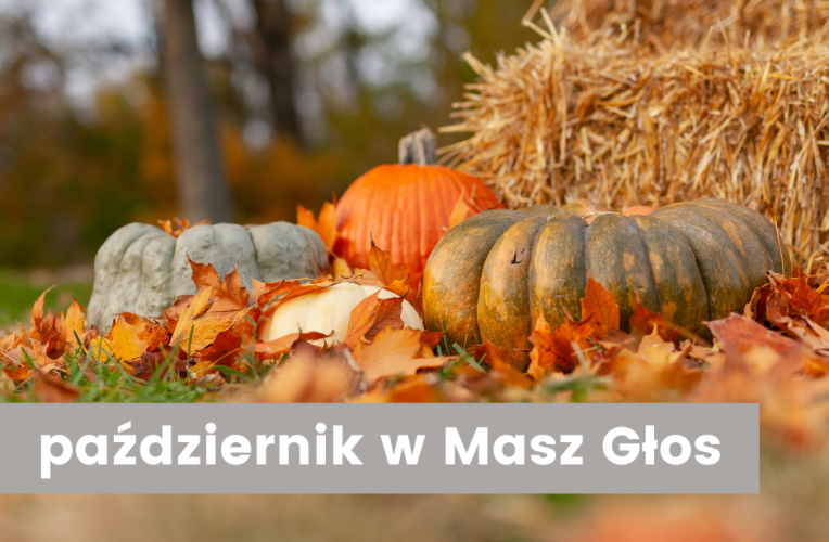 Harmonogram miesiąca