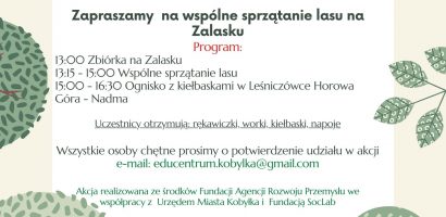 Wysprzątany las w Kobyłce