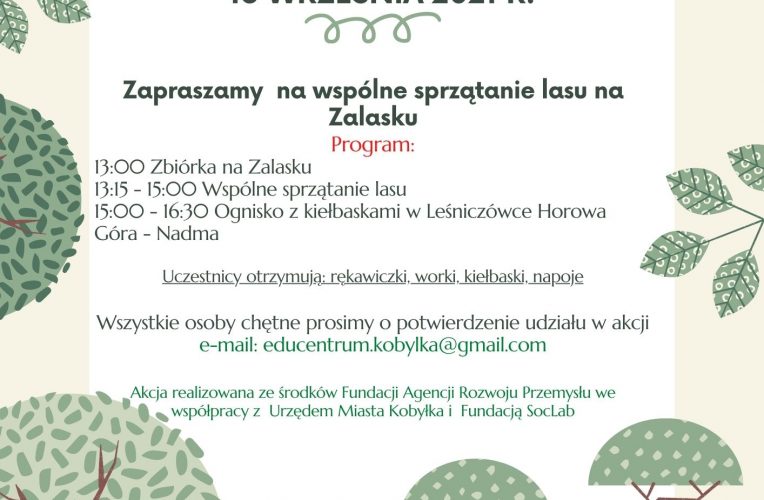 Wysprzątany las w Kobyłce