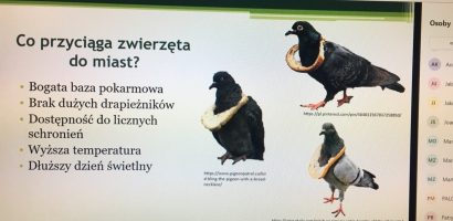 Webinarium dla młodzieży