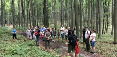 Rezerwat przyrody w okolicy Góry Stołowej