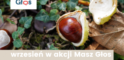 Harmonogram miesiąca