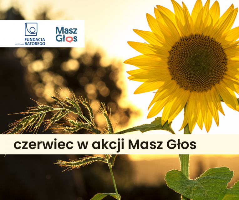 Harmonogram miesiąca