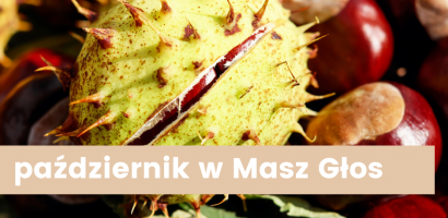 Harmonogram miesiąca