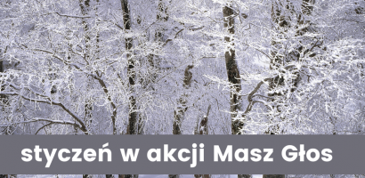 Harmonogram miesiąca