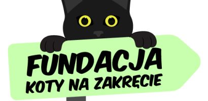 Fundacja KOTY NA ZAKRĘCIE