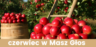 Harmonogram miesiąca