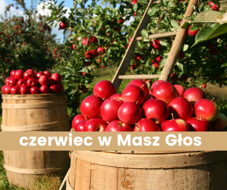 Harmonogram miesiąca