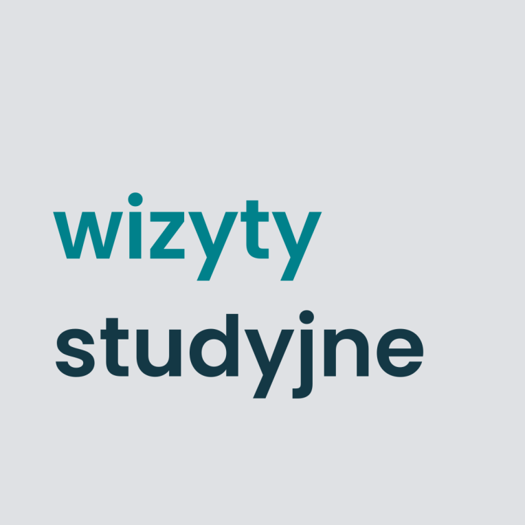Znamy plan wizyty studyjnych