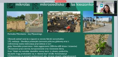 Woda i zieleń – sprawa dla miasta i społeczników