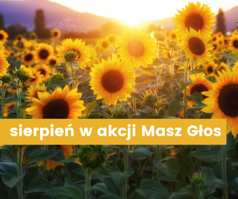 Harmonogram miesiąca