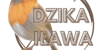 Fundacja „Dzika Iława”