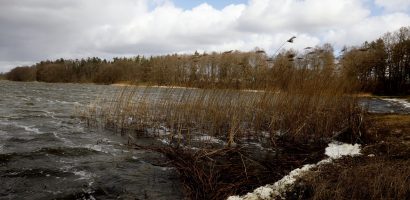 Stowarzyszenie „Na Rzecz Jeziora Tuchomskiego”