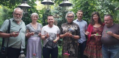 Miasto na torfowiskach