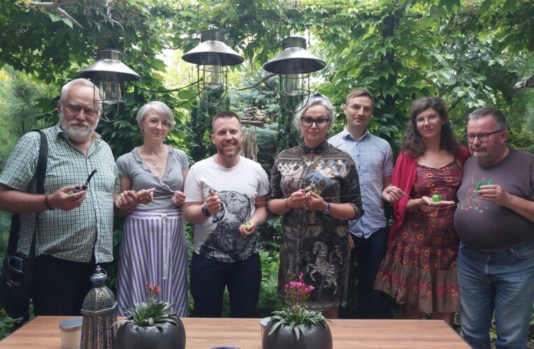 Miasto na torfowiskach