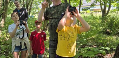 Od emocji do procedur. Jak mieszkańcy Gdańska nauczyli się chronić drzewa