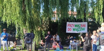 Rozmowa zamiast piły. Społecznicy i radni Krosna razem po stronie drzew