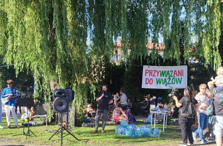 Rozmowa zamiast piły. Społecznicy i radni Krosna razem po stronie drzew