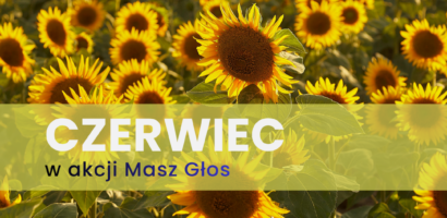 Harmonogram miesiąca